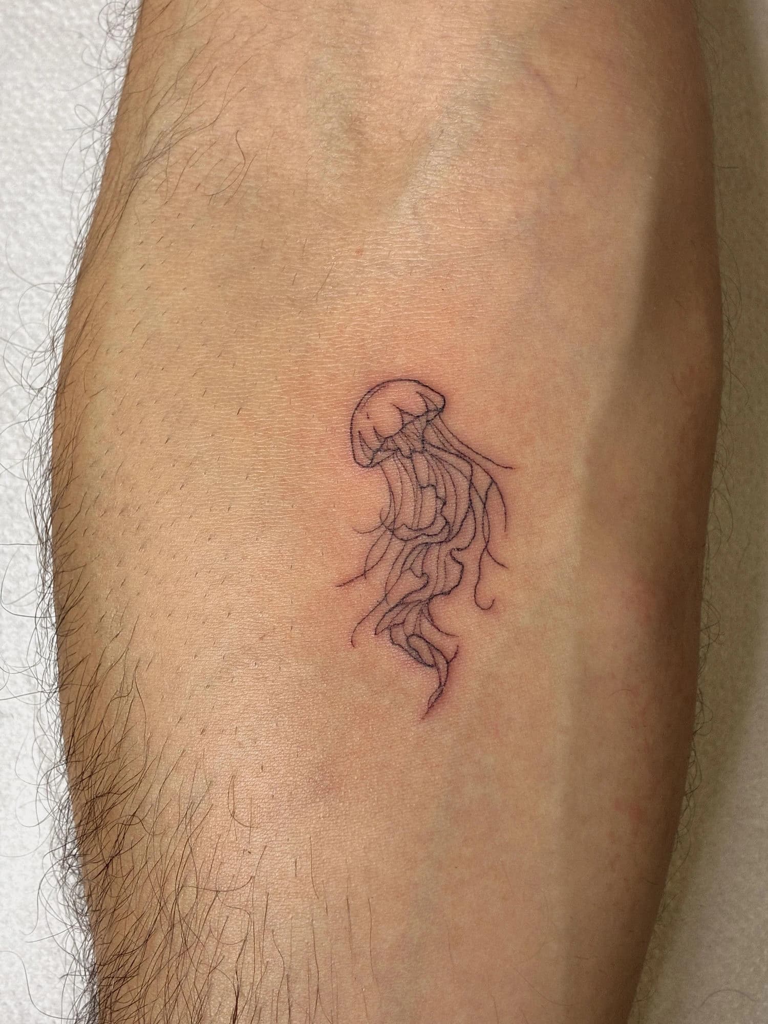 Tatuaje medusa delicada en pierna